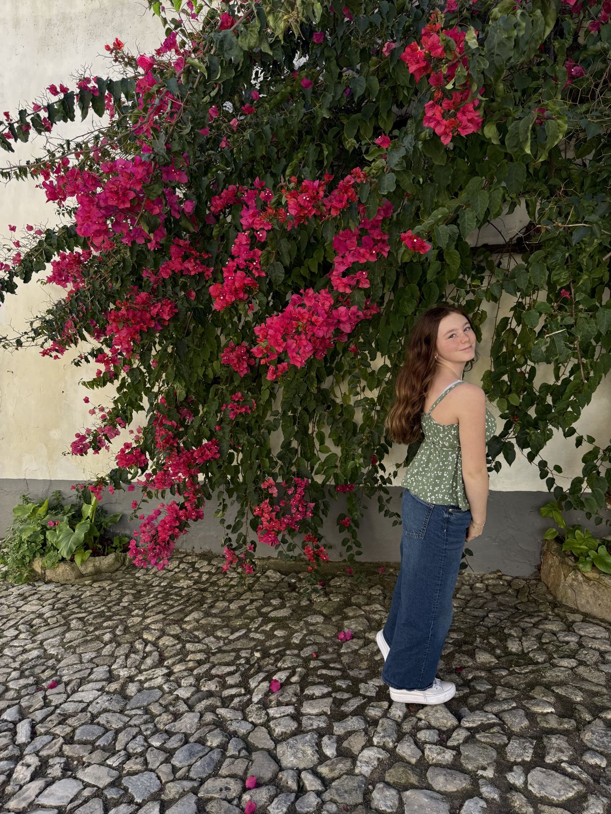Magenta bougainvillea covering a whitewashed wall in Óbidos